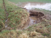 Abflussschaden :: Erosionsschaden im Bereich einer natürlichen Tiefenlinie innerhalb einer ausgedehnten Winterweizenfläche. Auslöser des Schadens ist die intensive und kurzeitige Abflussentstehung während eines Starkregens im Winter (!) 2008. Die durch Tauwetter, Bodengefrornis und ungesicherten Übertritt des Abflusses verstärkte Schadwirkung zeigt, dass konzentrierte Abflussbahnen am Übergang von Flächen zu Gräben und Durchlässen durch die zuständigen Flächennutzer - in diesem Fall Landwirtschaft und Straßenunterhaltung - besonders sorgfältig gestaltet werden müssen